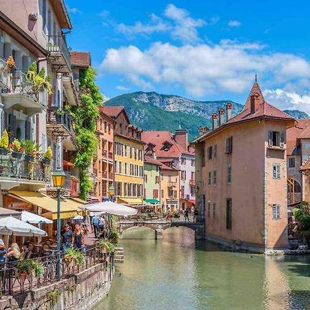 La Perle Du Thiou - Charmant T3 Au Centre D'Annecy Avec Parking Prive Bagian luar foto