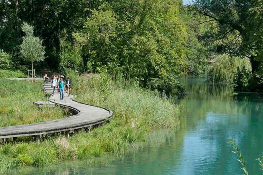 La Perle Du Thiou - Charmant T3 Au Centre D'Annecy Avec Parking Prive Bagian luar foto