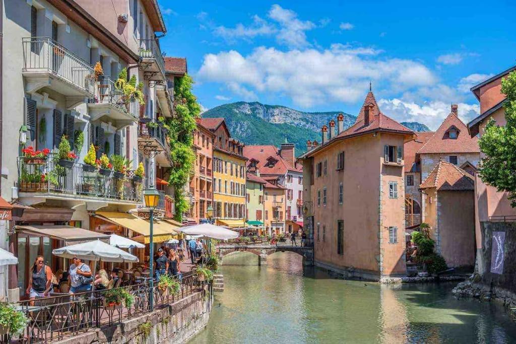 La Perle Du Thiou - Charmant T3 Au Centre D'Annecy Avec Parking Prive Bagian luar foto